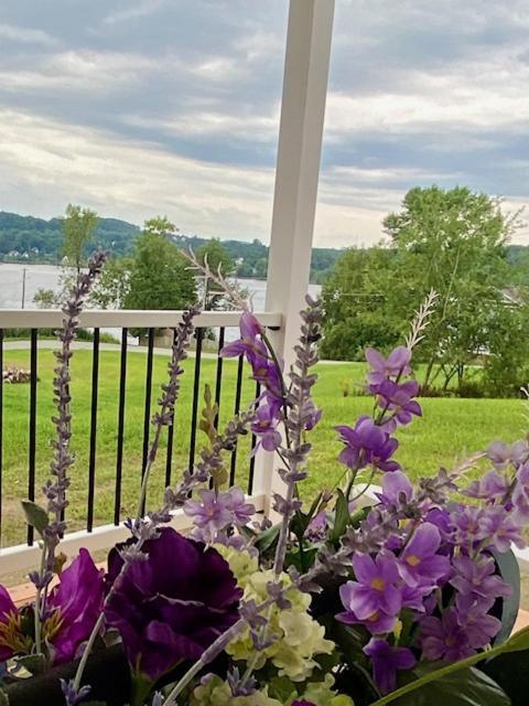 Gray'S Manor - Lake Memphremagog Apartment Newport Екстериор снимка